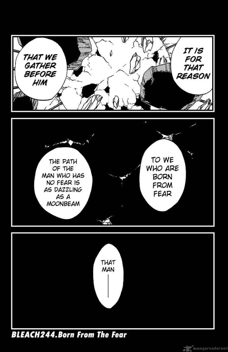 Bleach 244 6