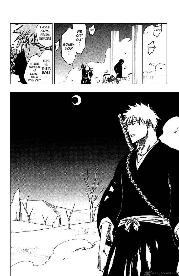 Bleach 244 8