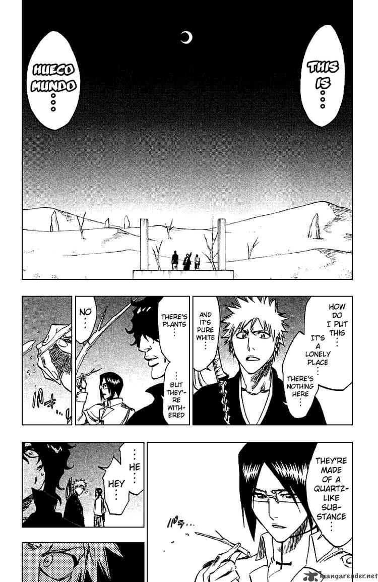 Bleach 244 9