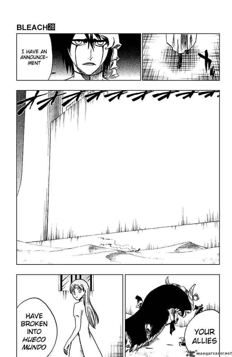 Bleach 247 17