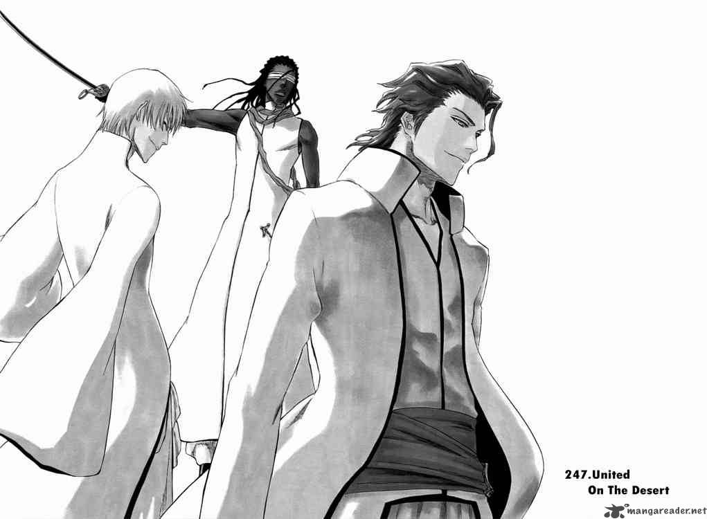Bleach 247 3