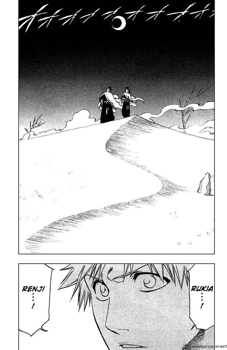 Bleach 247 5