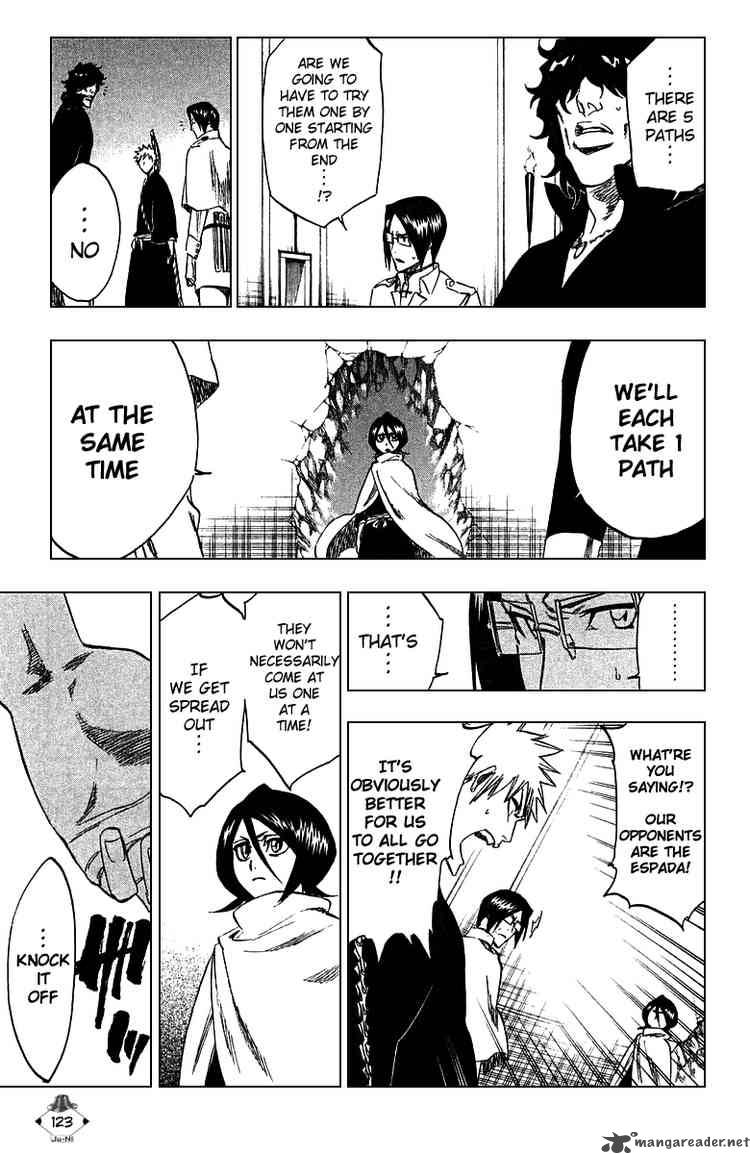 Bleach 248 13