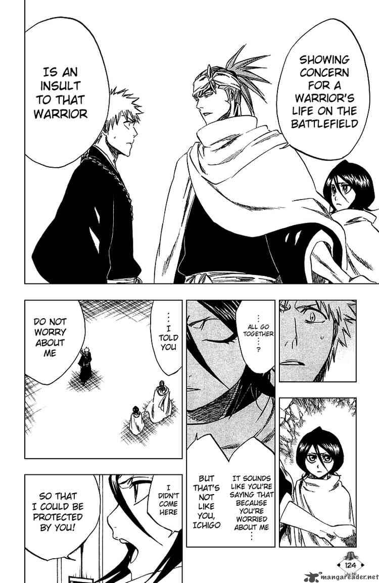 Bleach 248 14