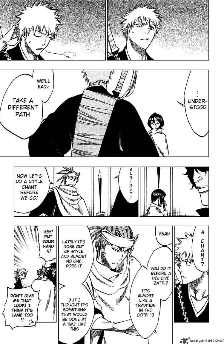 Bleach 248 15