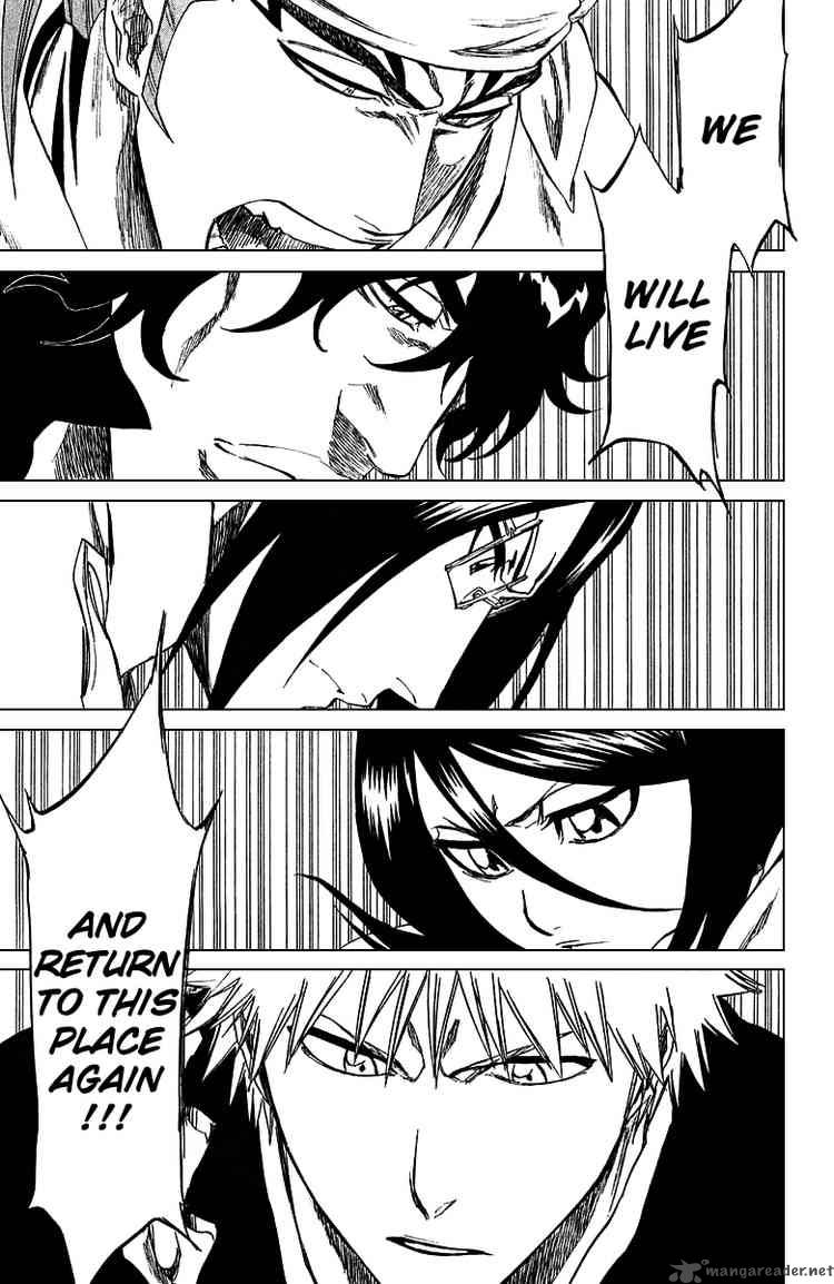 Bleach 248 17