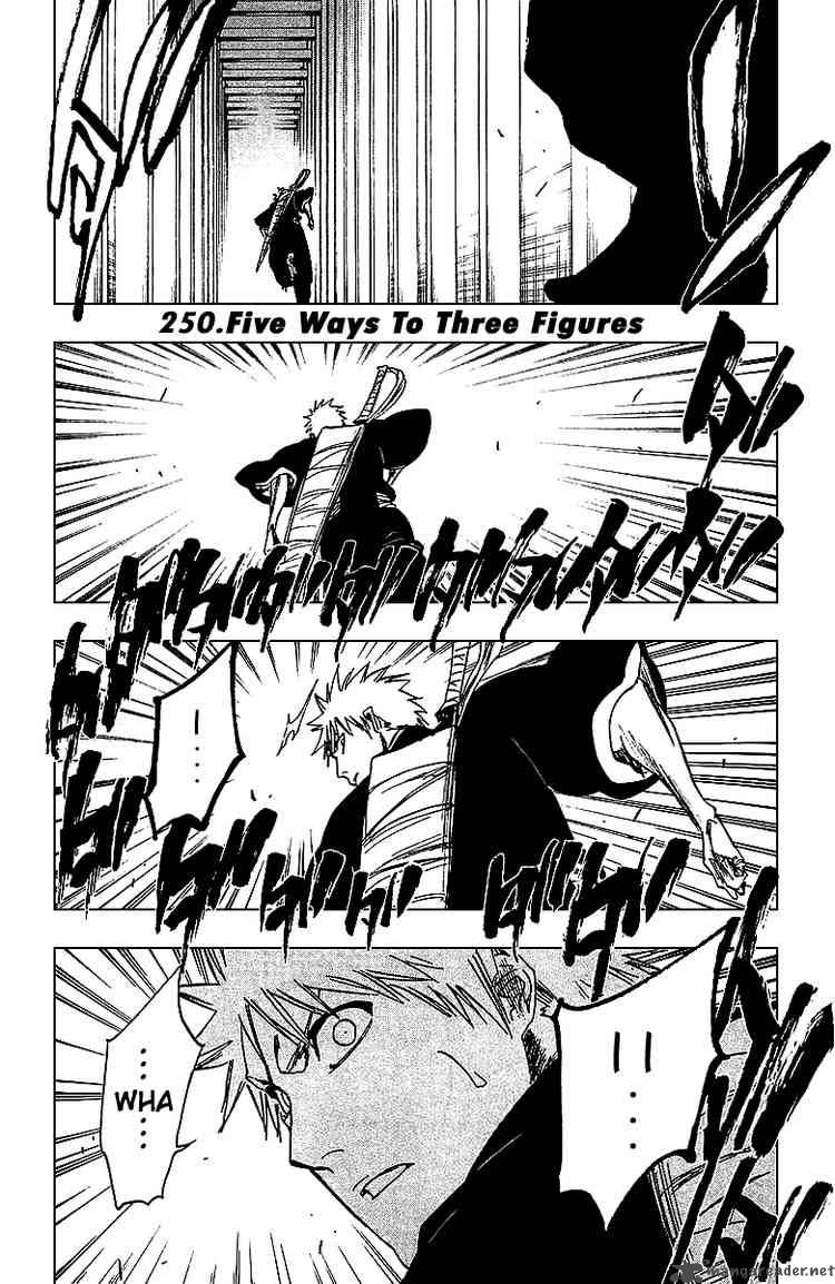 Bleach 250 1