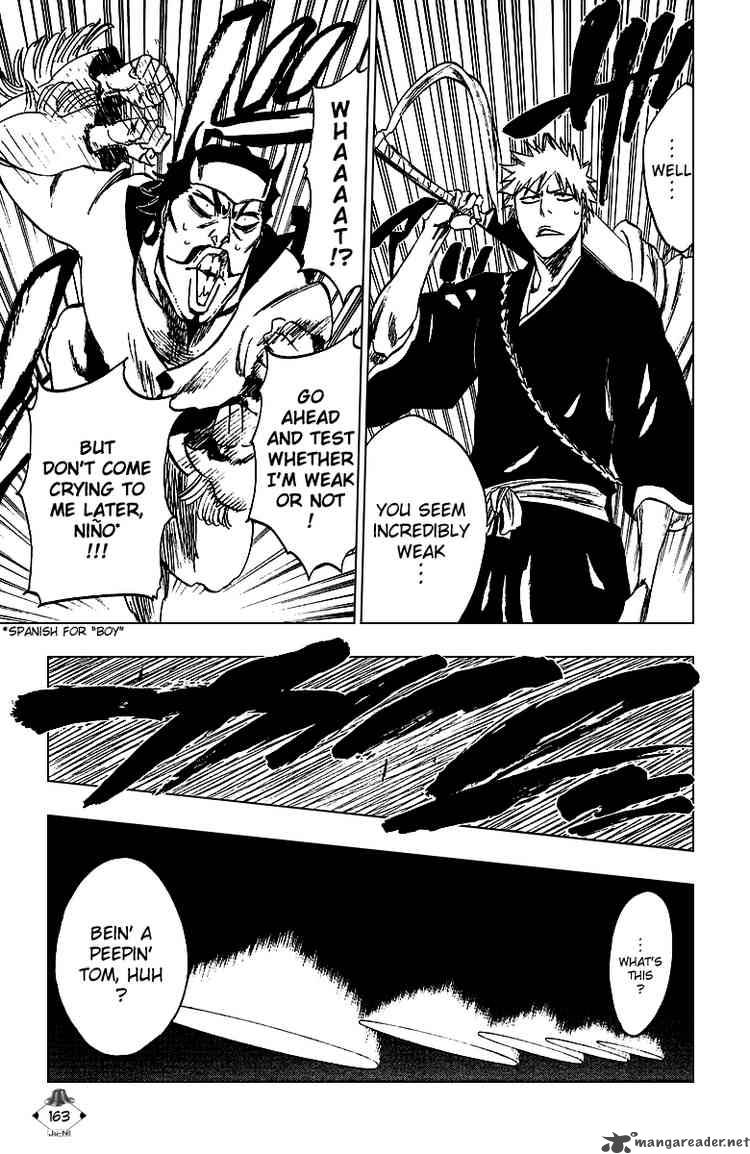 Bleach 250 13