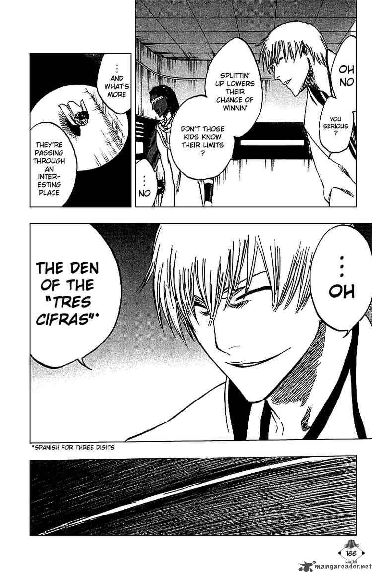 Bleach 250 16