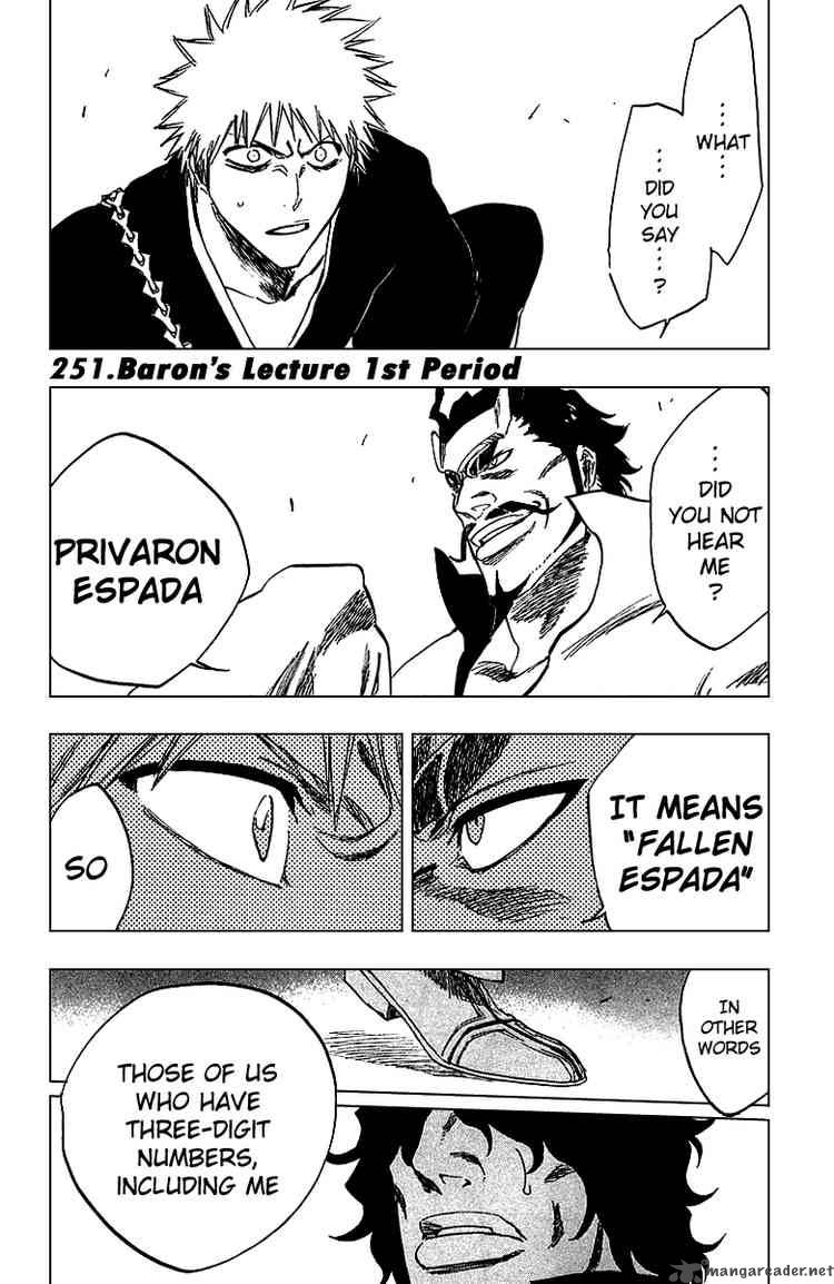 Bleach 251 1