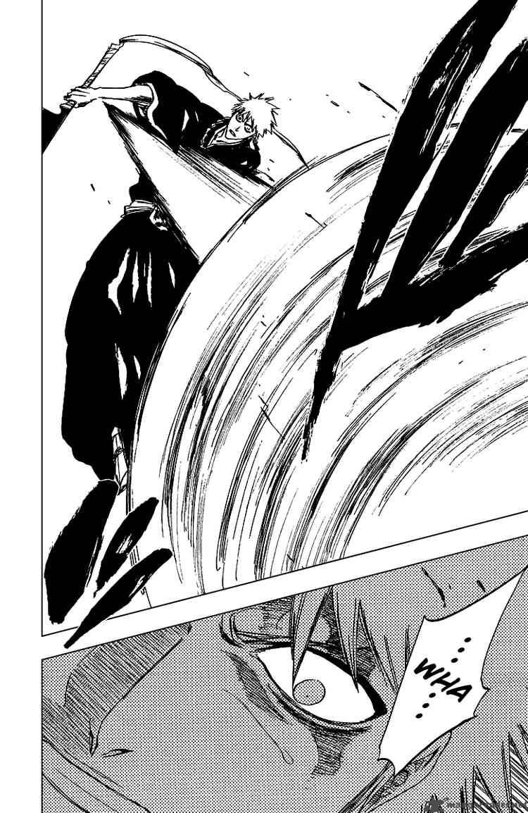 Bleach 251 14