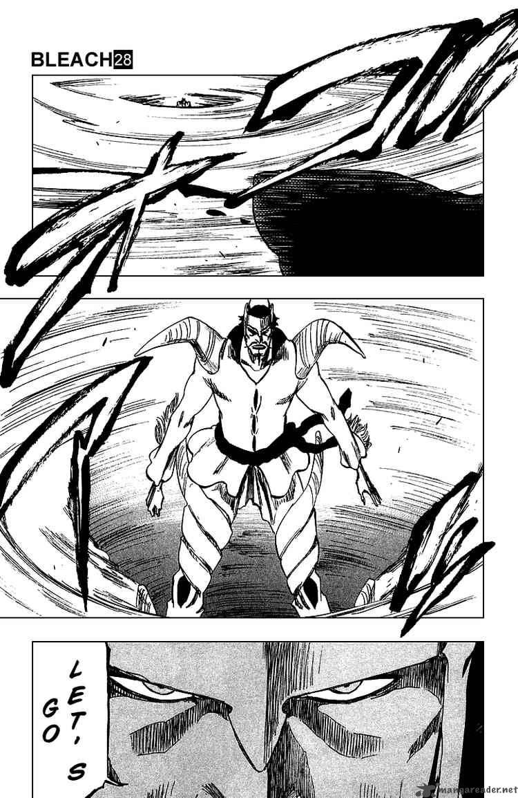 Bleach 251 15