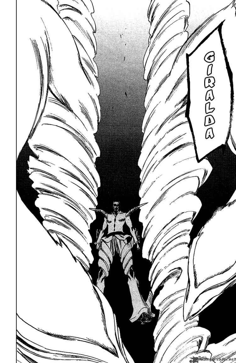 Bleach 251 16