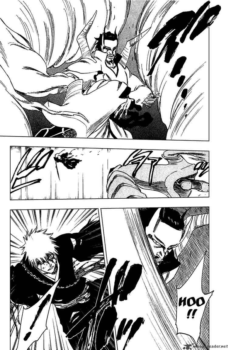 Bleach 251 17