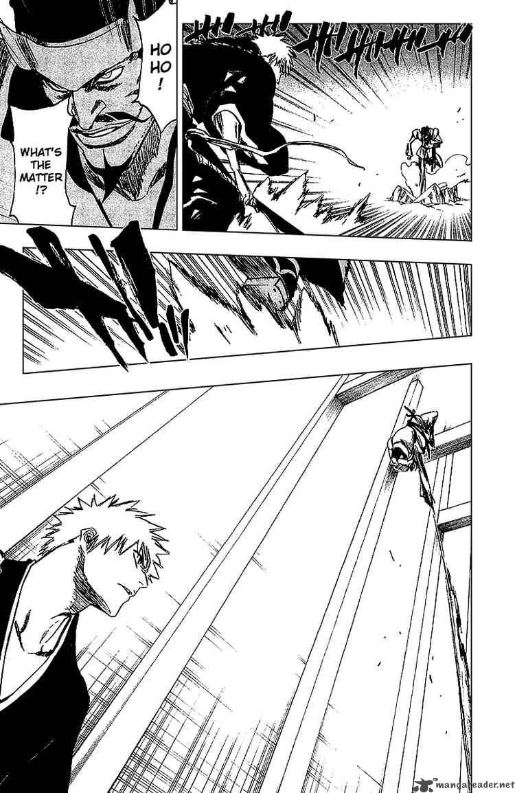 Bleach 251 5