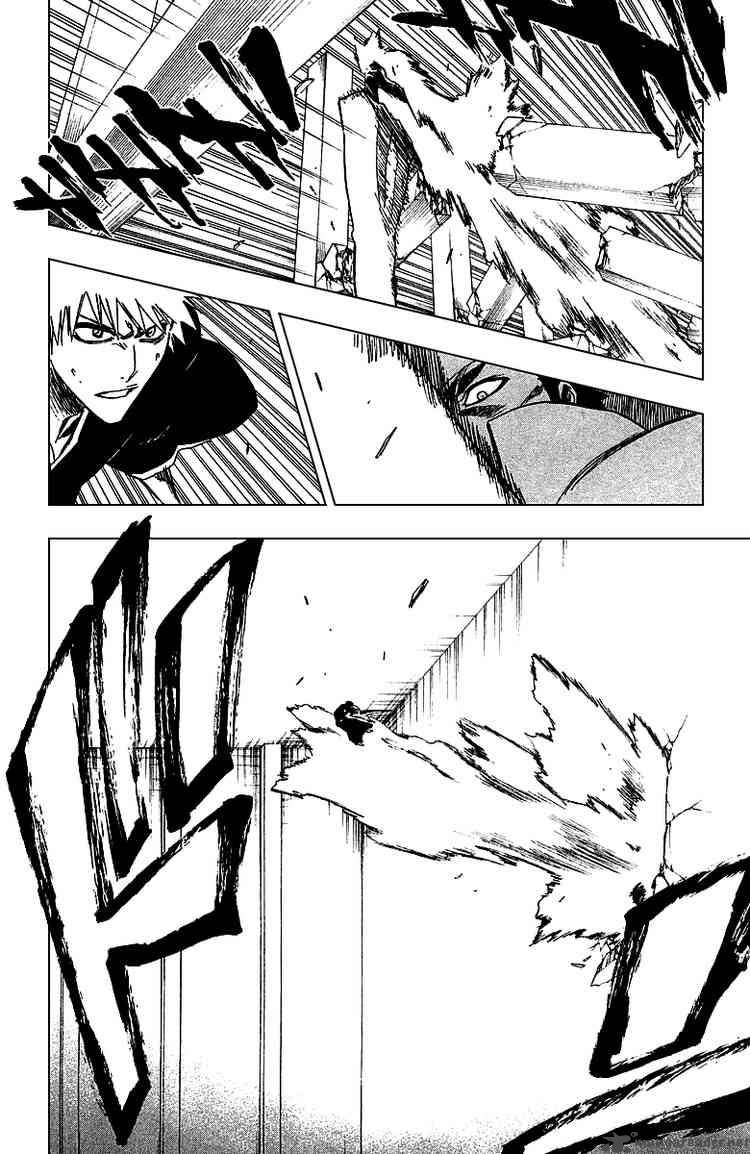 Bleach 251 6
