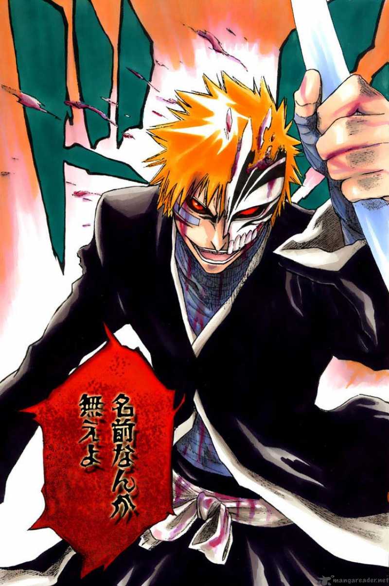 Bleach 252 10