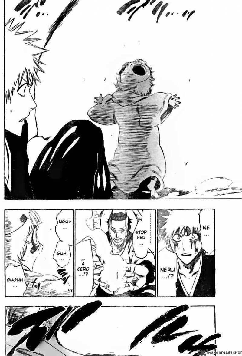 Bleach 252 13