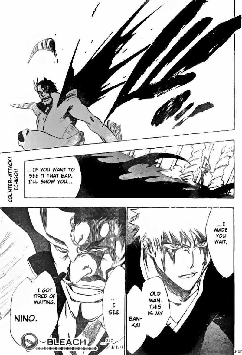 Bleach 252 20