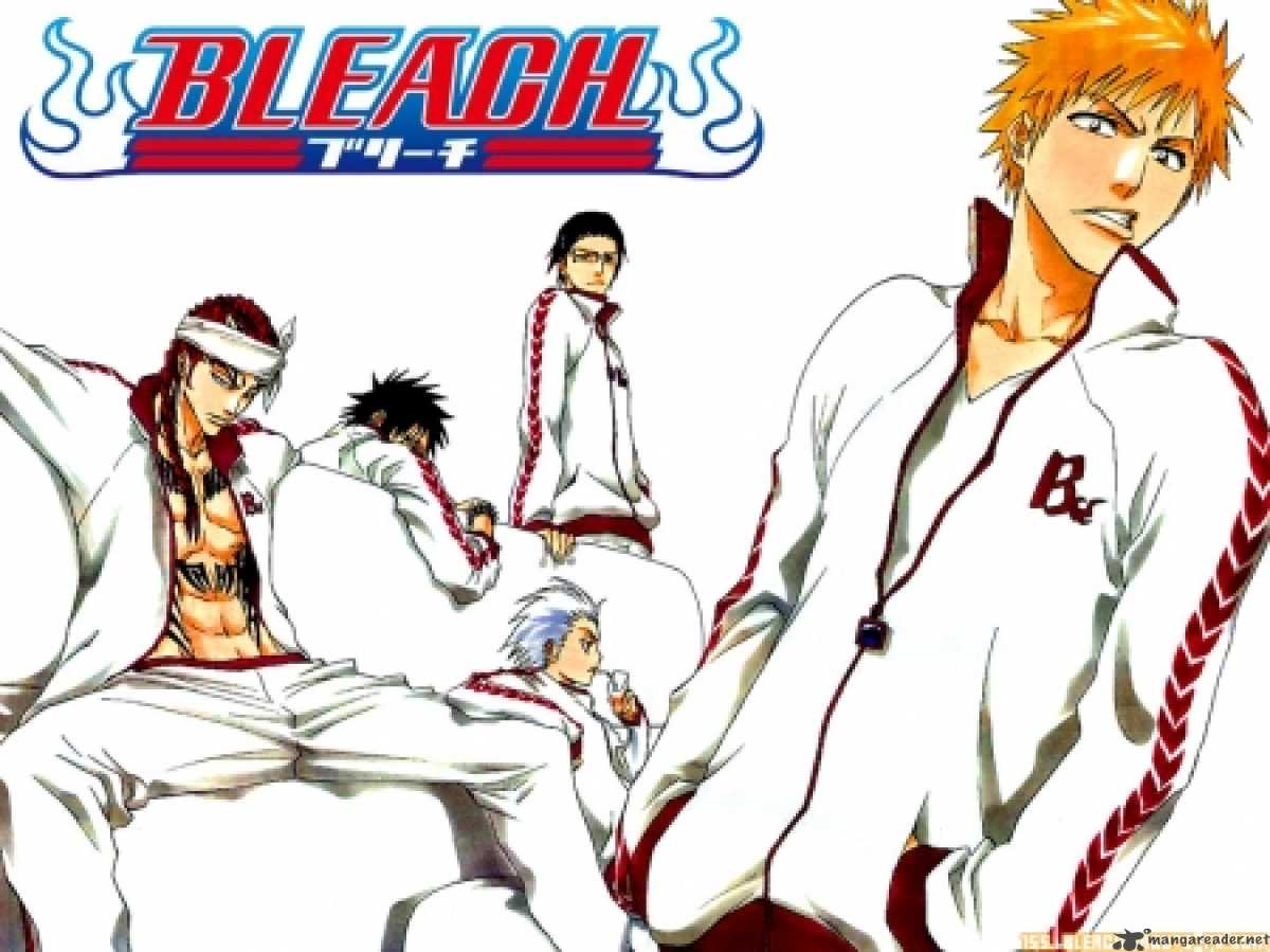 Bleach 252 27