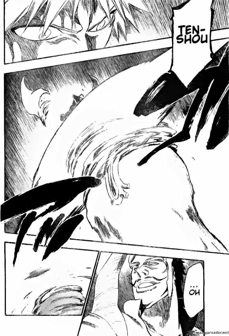 Bleach 252 8