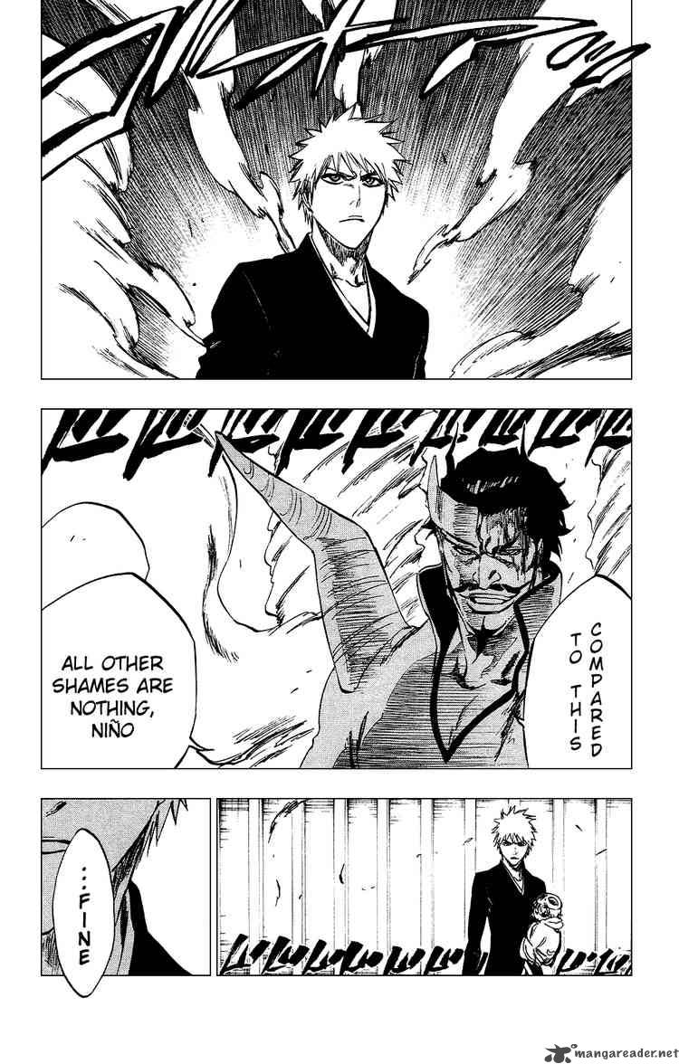Bleach 253 11