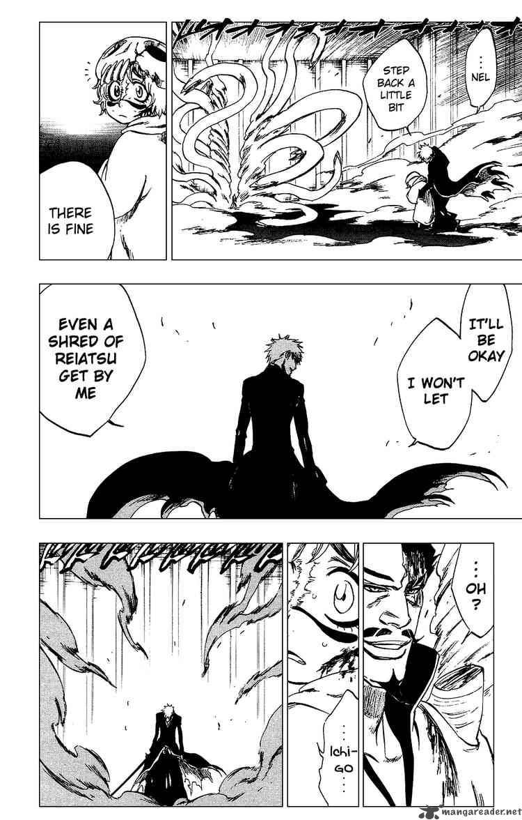 Bleach 253 12