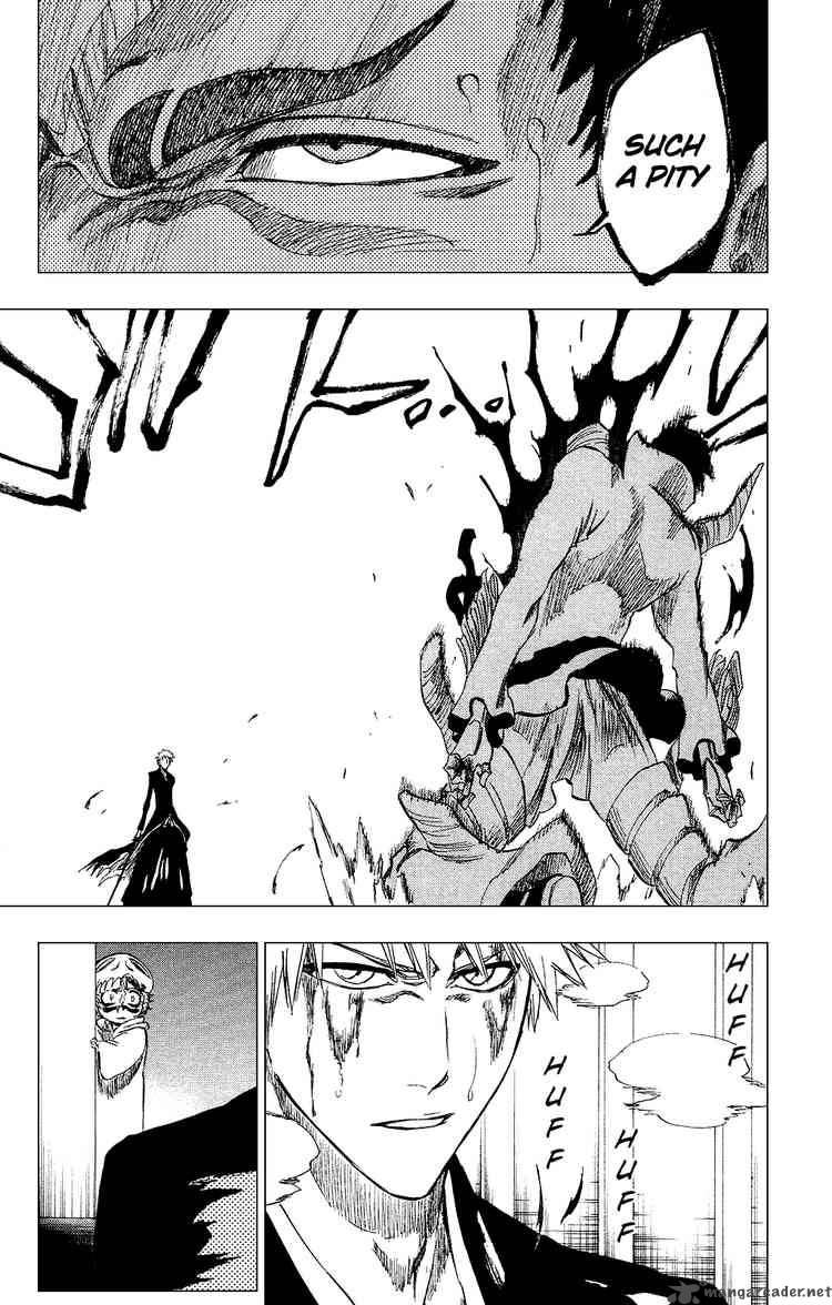 Bleach 253 19