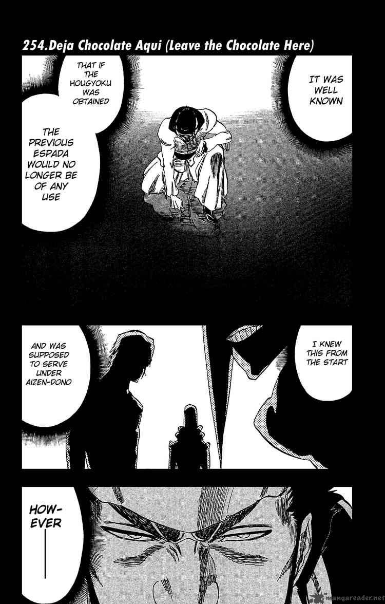 Bleach 254 1