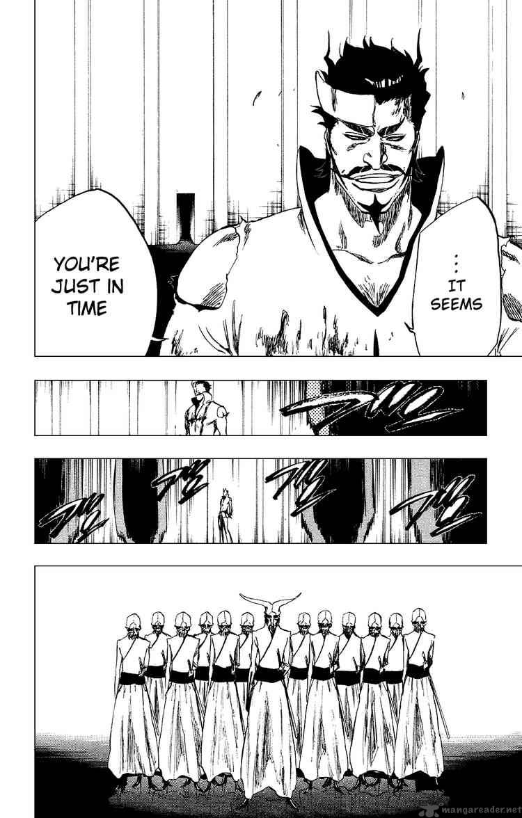 Bleach 254 12