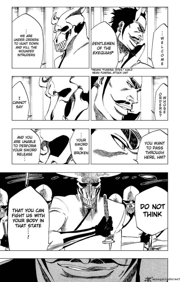 Bleach 254 13