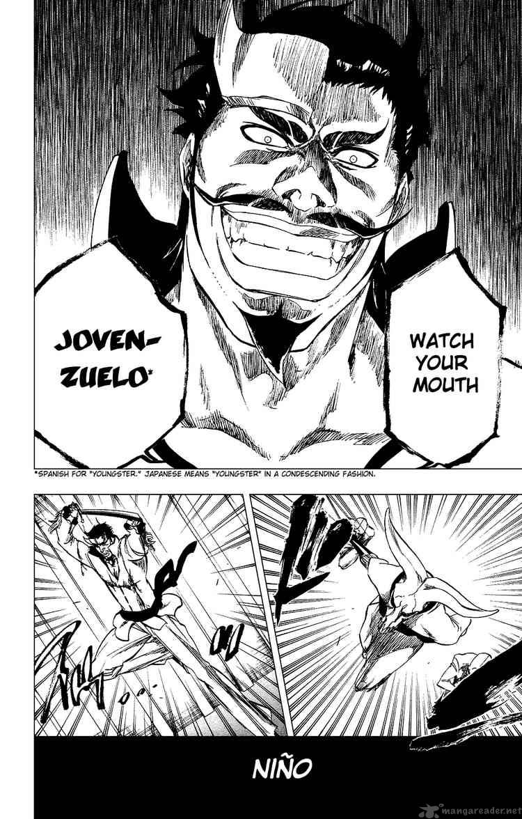 Bleach 254 14
