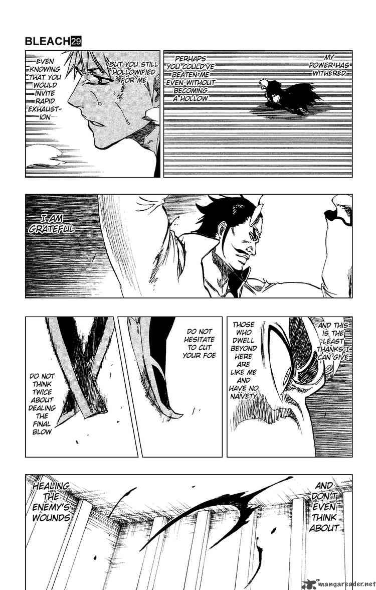 Bleach 254 15