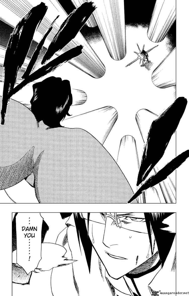 Bleach 254 19