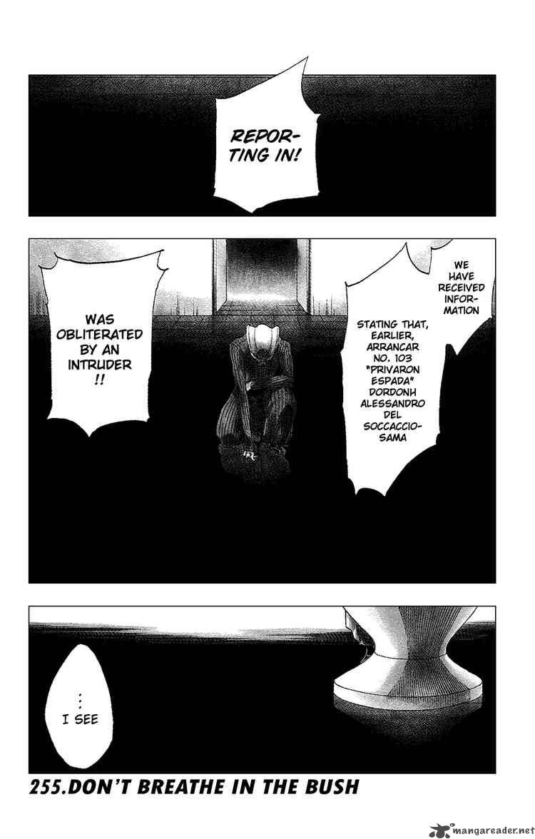 Bleach 255 1