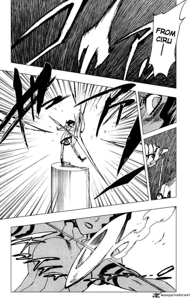 Bleach 255 14