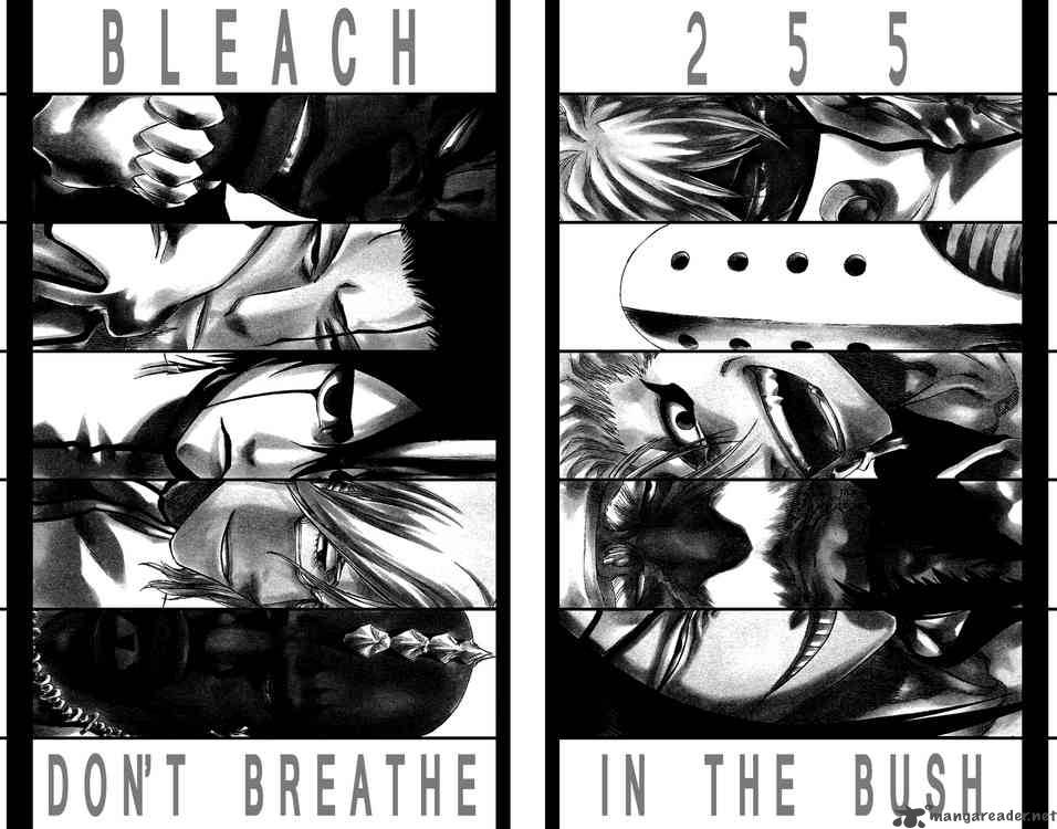 Bleach 255 2