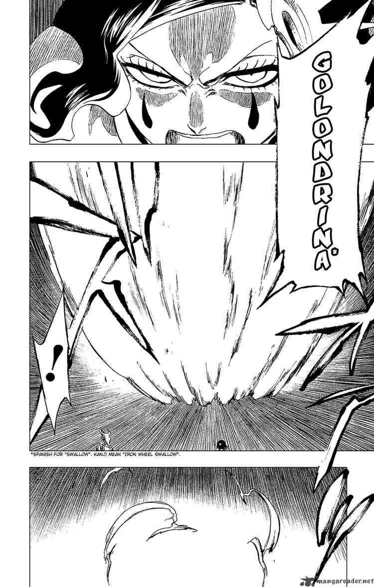 Bleach 256 18