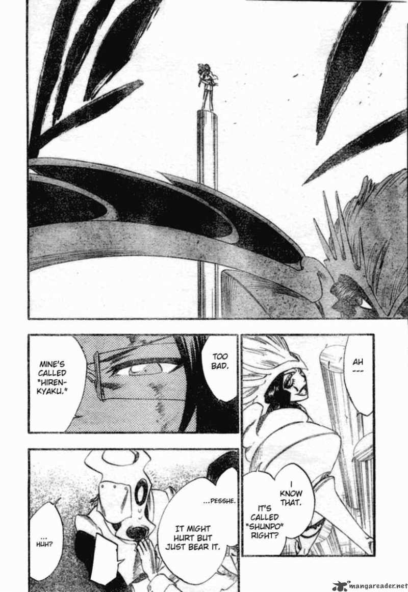 Bleach 257 11
