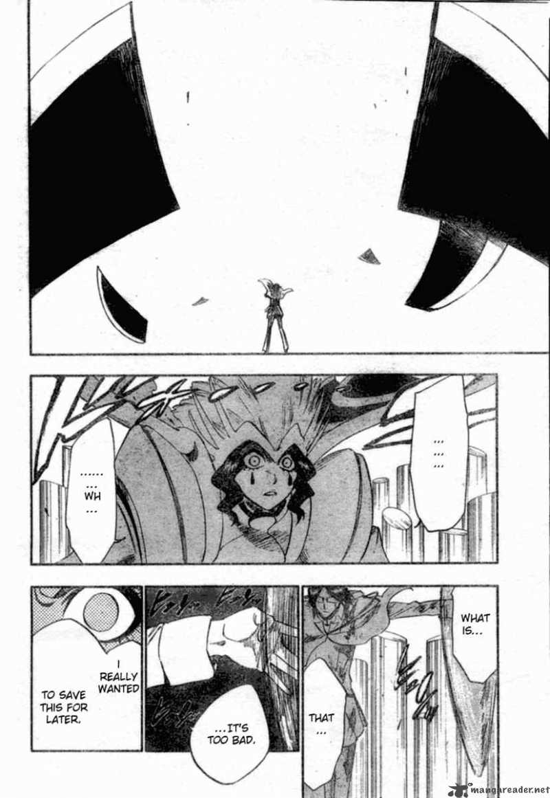 Bleach 257 19