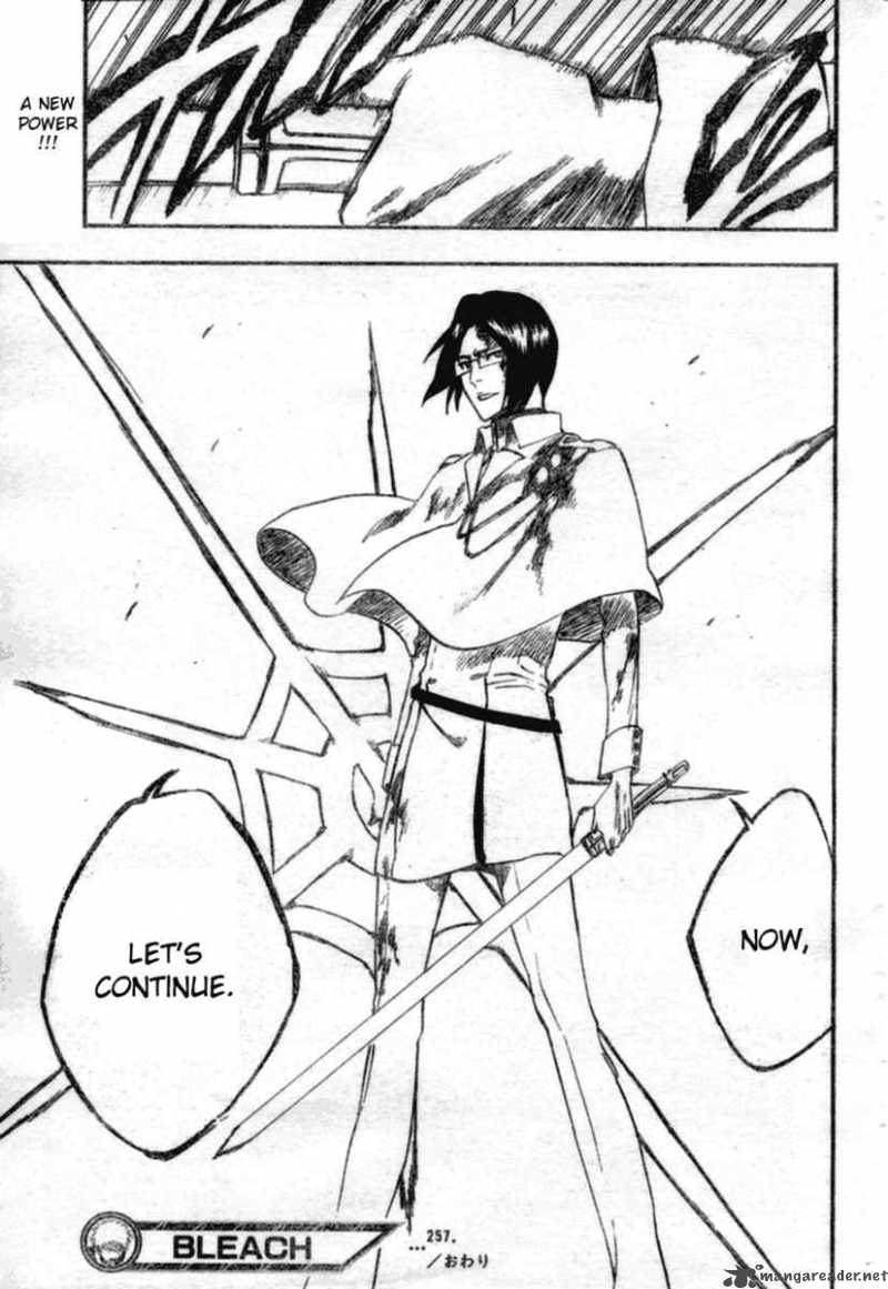 Bleach 257 20
