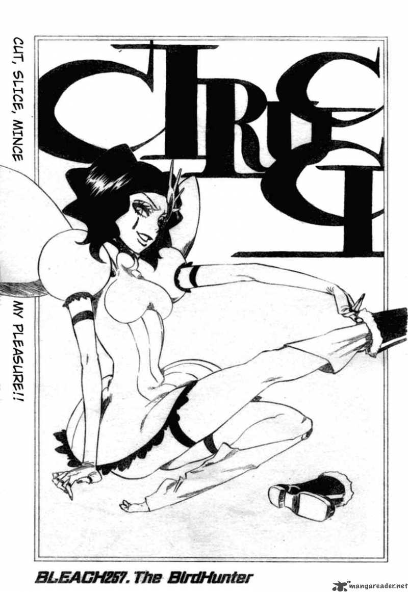Bleach 257 4