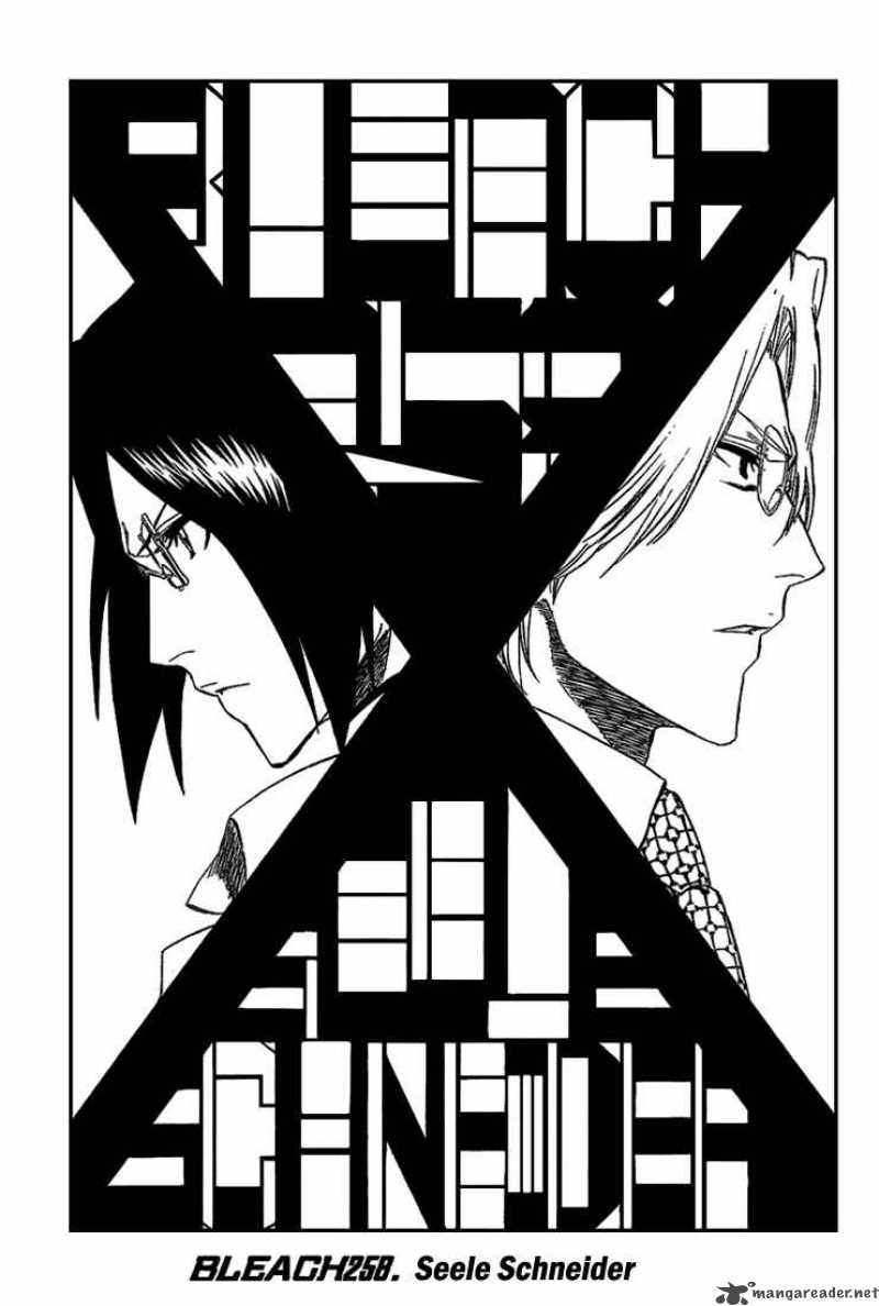 Bleach 258 5