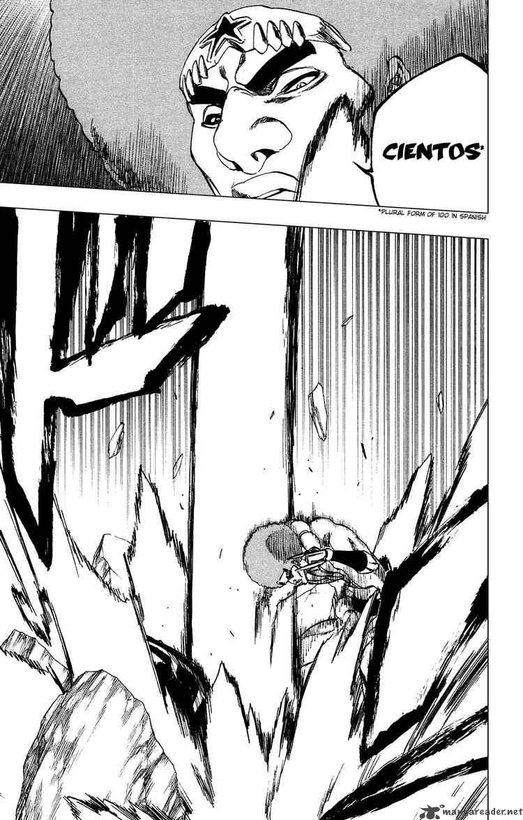 Bleach 259 15