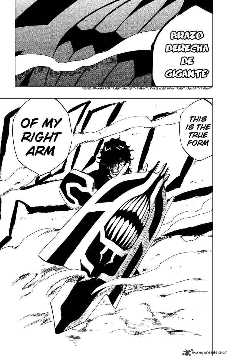 Bleach 259 19