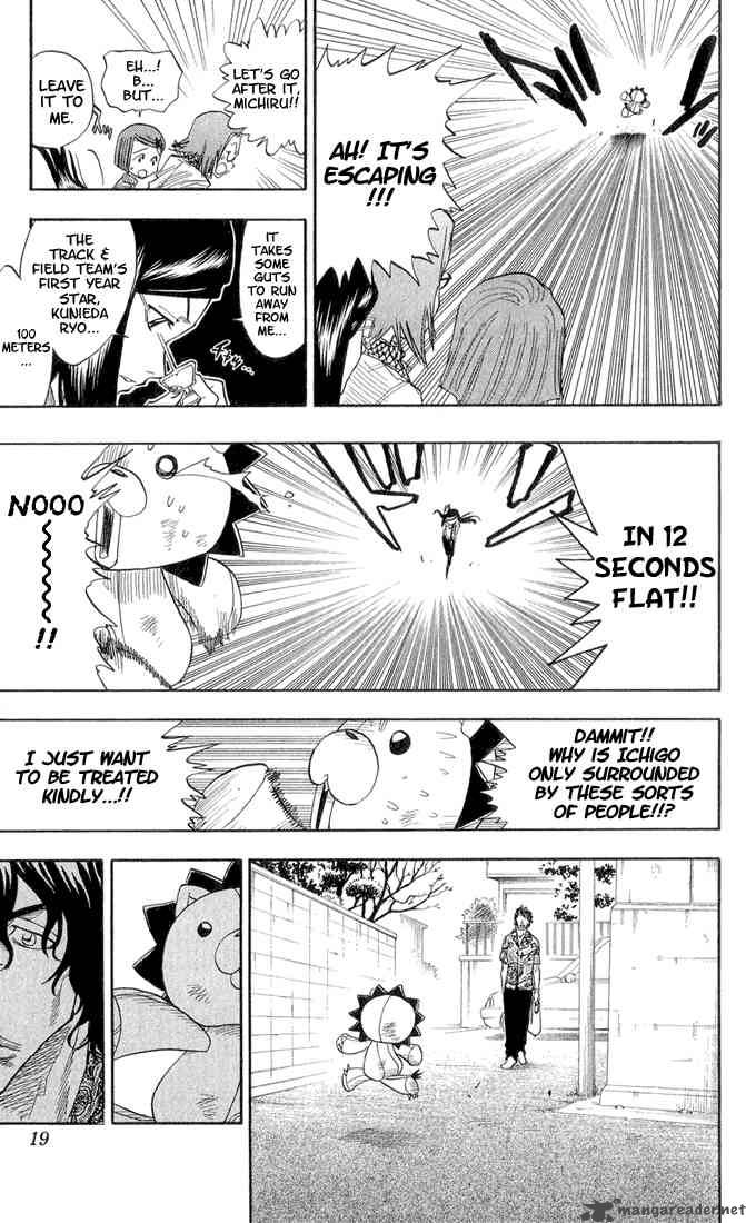 Bleach 26 13