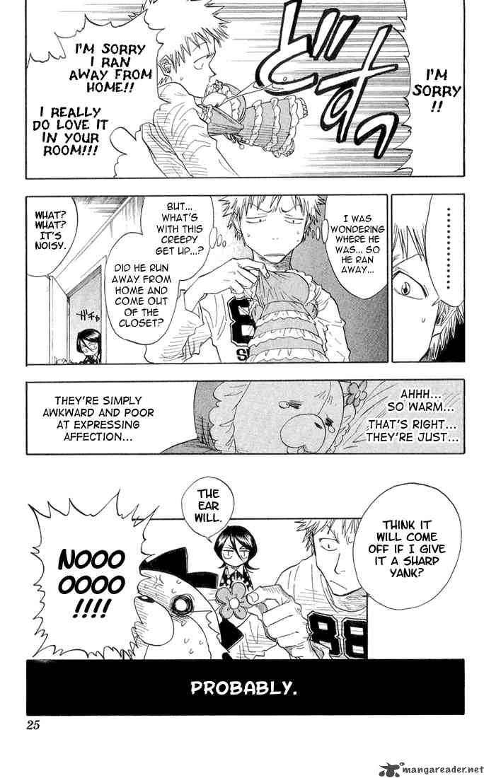 Bleach 26 19