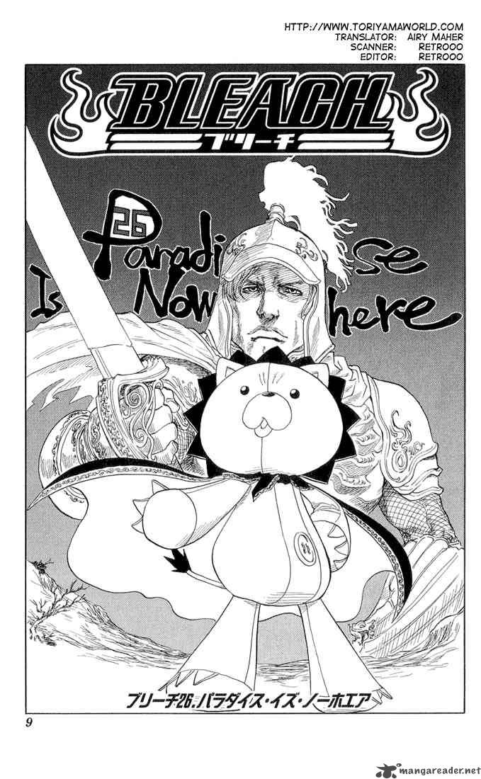 Bleach 26 3