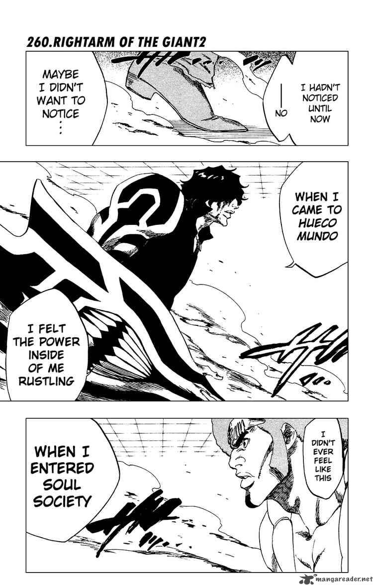 Bleach 260 1