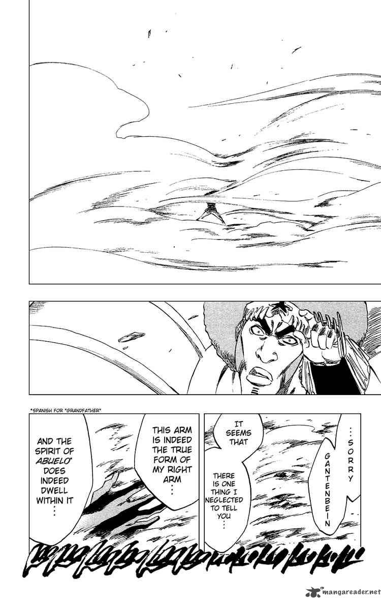 Bleach 260 16